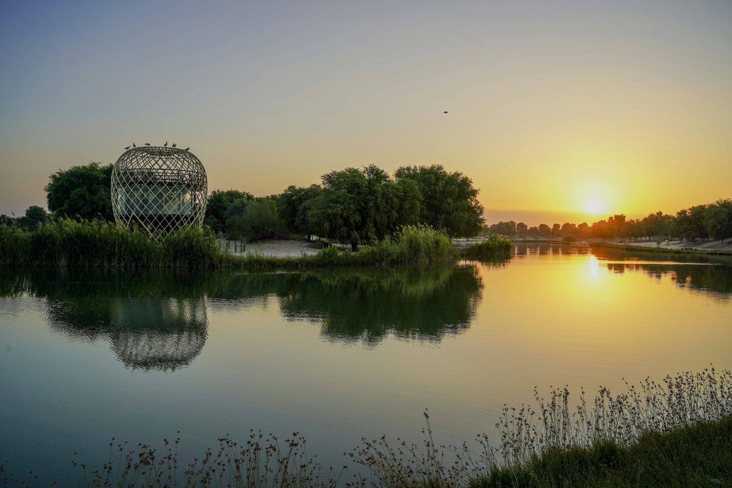 Al Qudra lake at sunset